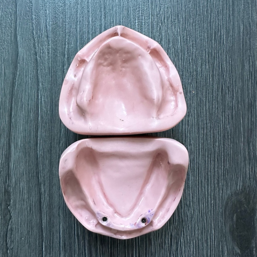 Bone models Edentulous Jaw Base Set